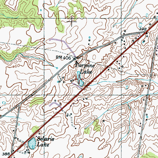 Topographic Map of Turpine Lake, TN