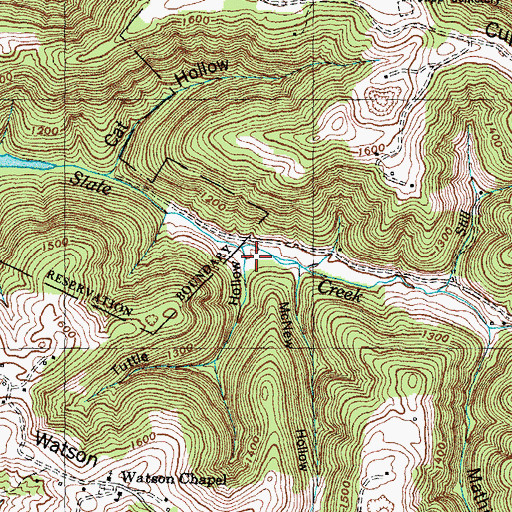 Topographic Map of Tuttle Hollow, TN