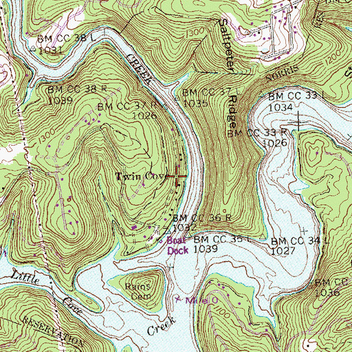 Topographic Map of Twin Cove, TN