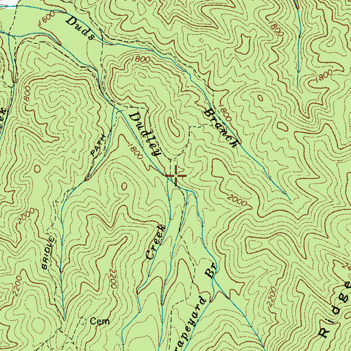 Topographic Map of Twin Creek, TN