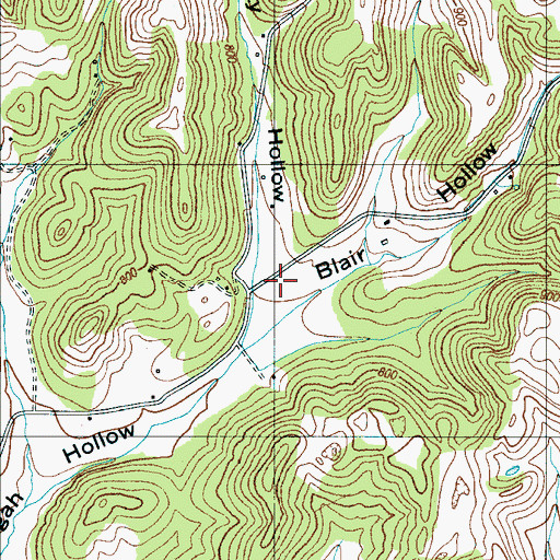Topographic Map of Twitty Hollow, TN