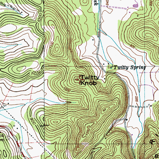 Topographic Map of Twitty Knob, TN