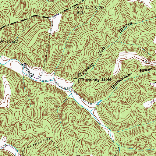 Topographic Map of Twomey Hole, TN
