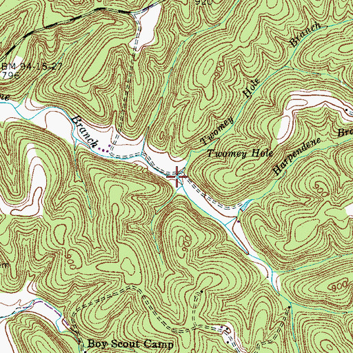 Topographic Map of Twomey Hole Branch, TN