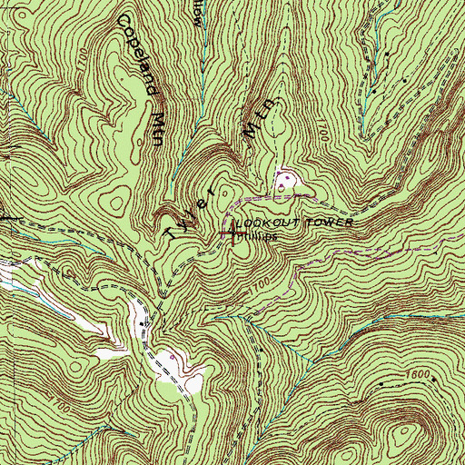 Topographic Map of Tyler Mountain, TN