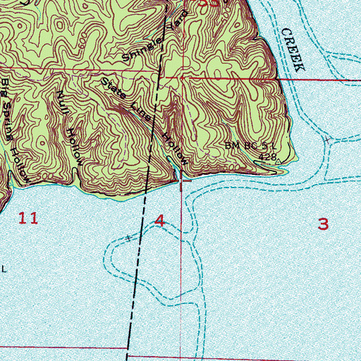 Topographic Map of State Line Hollow, AL