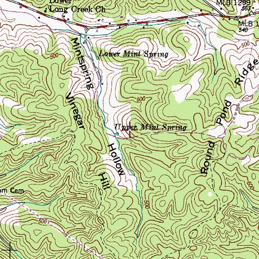 Topographic Map of Upper Mint Spring, TN