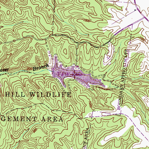 Topographic Map of VFW Lake, TN