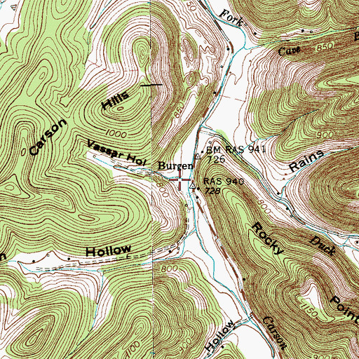 Topographic Map of Vassar Hollow, TN