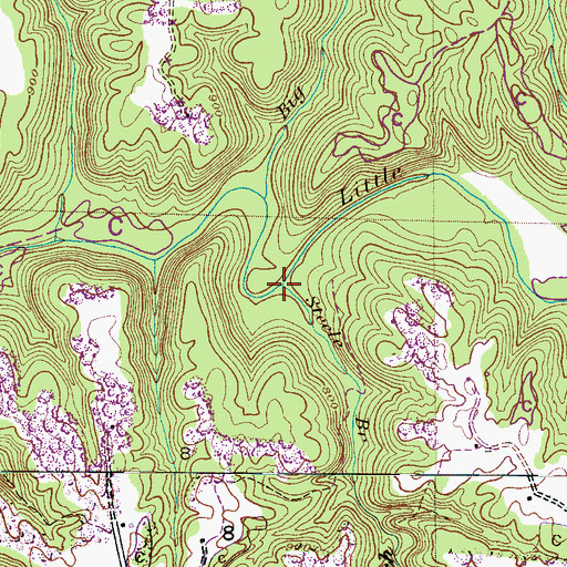 Topographic Map of Steele Branch, AL