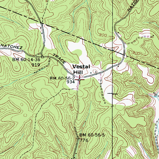 Topographic Map of Vestal Hill, TN