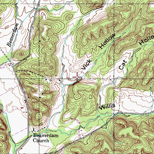 Topographic Map of Vick Hollow, TN