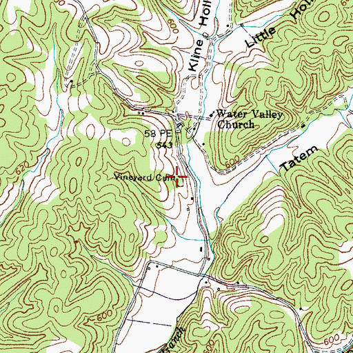 Topographic Map of Vineyard Cemetery, TN