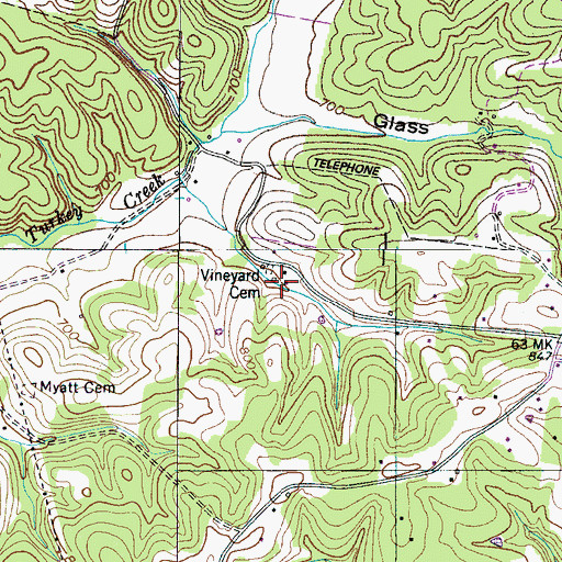 Topographic Map of Vineyard Cemetery, TN