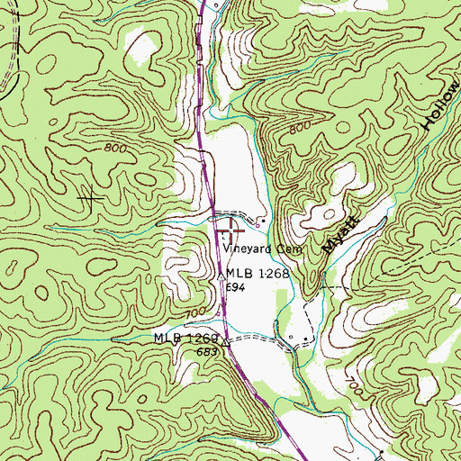 Topographic Map of Vineyard Cemetery, TN