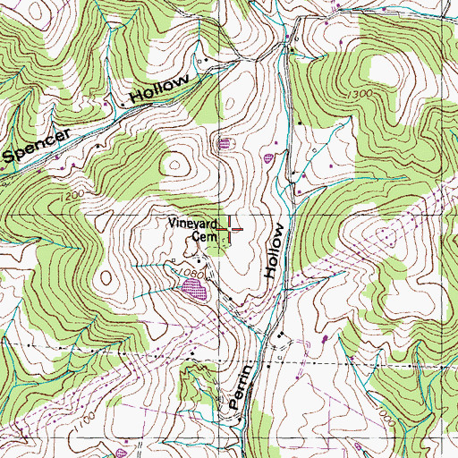 Topographic Map of Vineyard Cemetery, TN