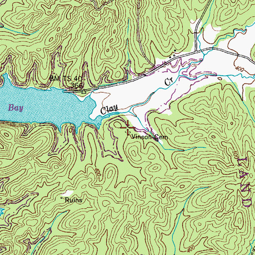 Topographic Map of Vinson Cemetery, TN