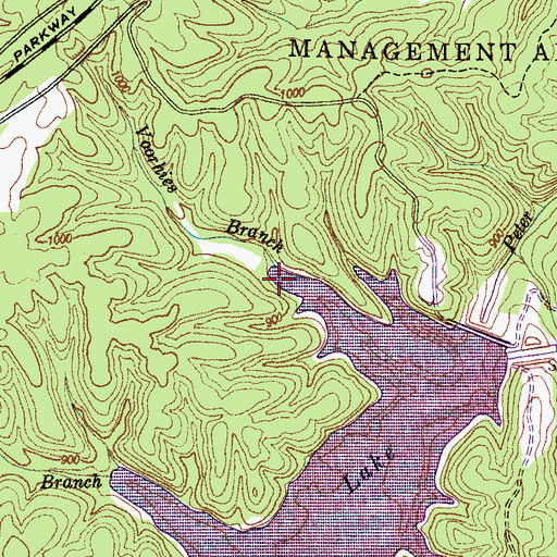 Topographic Map of Voorhies Branch, TN