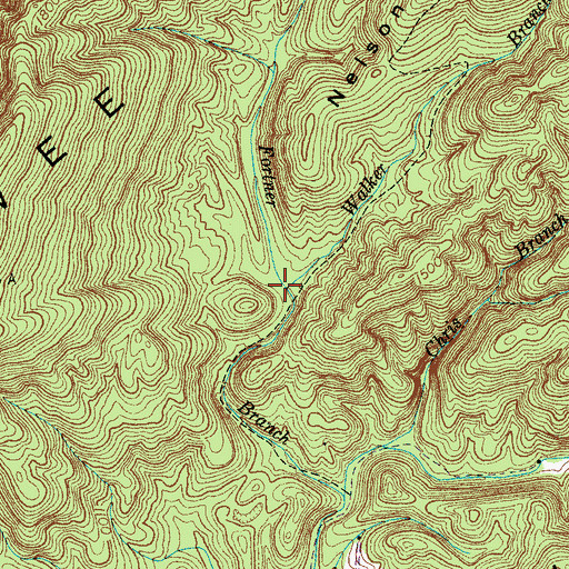 Topographic Map of Walker Branch, TN