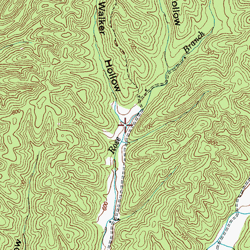 Topographic Map of Walker Hollow, TN