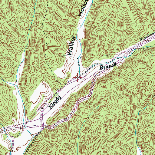 Topographic Map of Walker Hollow, TN