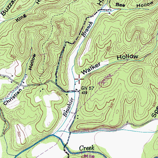 Topographic Map of Walker Hollow, TN