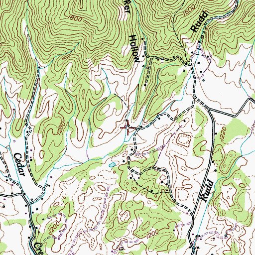 Topographic Map of Walker Hollow, TN
