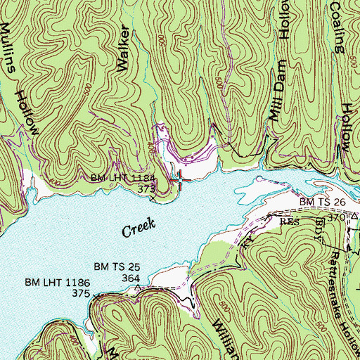 Topographic Map of Walker Hollow, TN