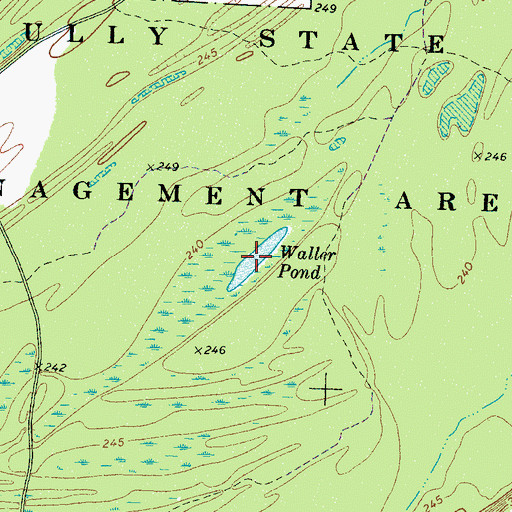 Topographic Map of Walker Pond, TN