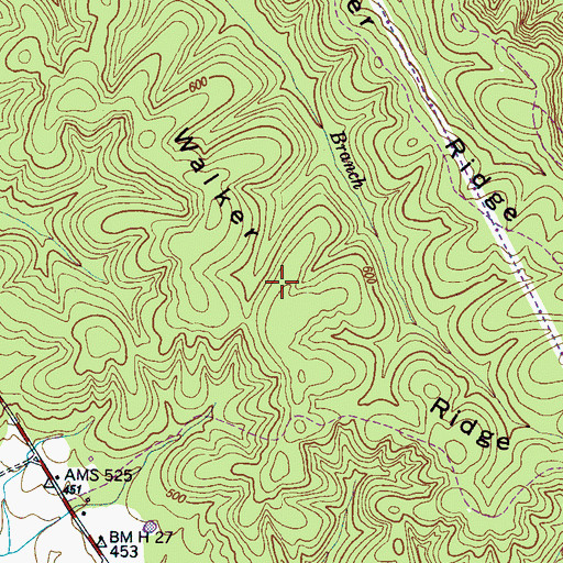 Topographic Map of Walker Ridge, TN