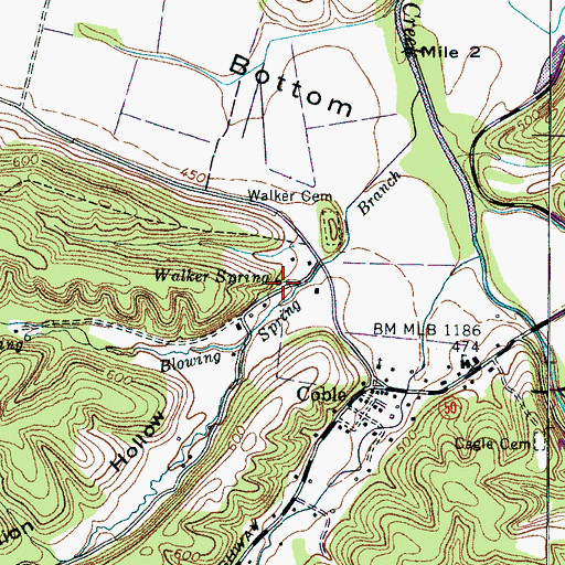 Topographic Map of Walker Spring, TN