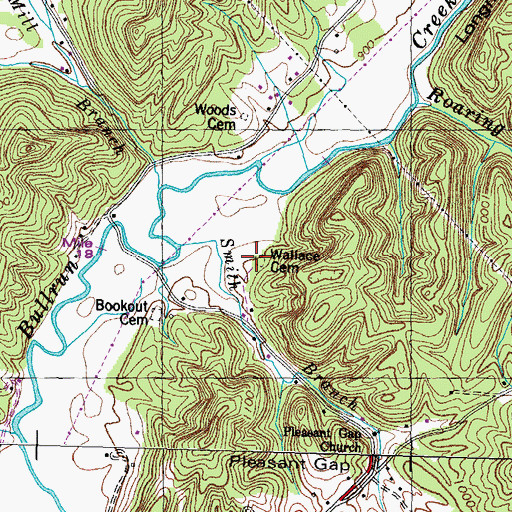 Topographic Map of Wallace Cemetery, TN
