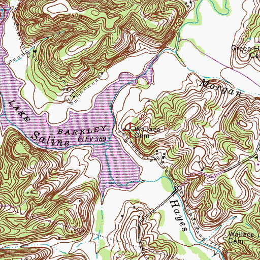 Topographic Map of George Wallace Cemetery, TN
