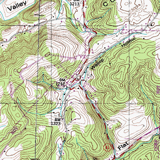 Topographic Map of Wallop Hollow, TN