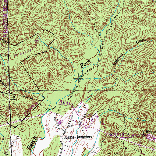 Topographic Map of Walnut Cove, TN