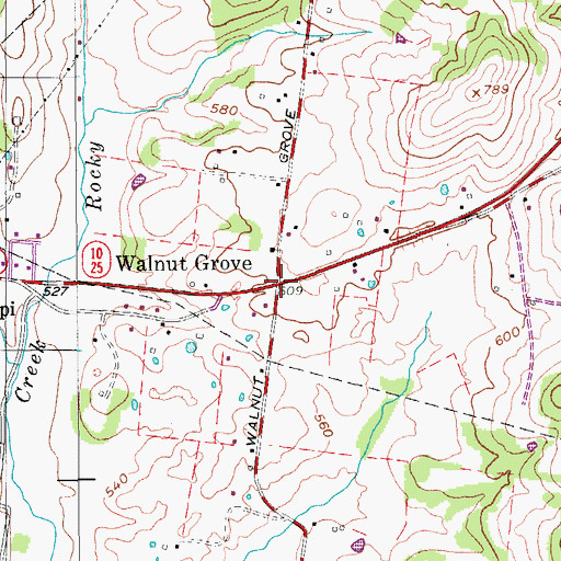 Topographic Map of Walnut Grove, TN