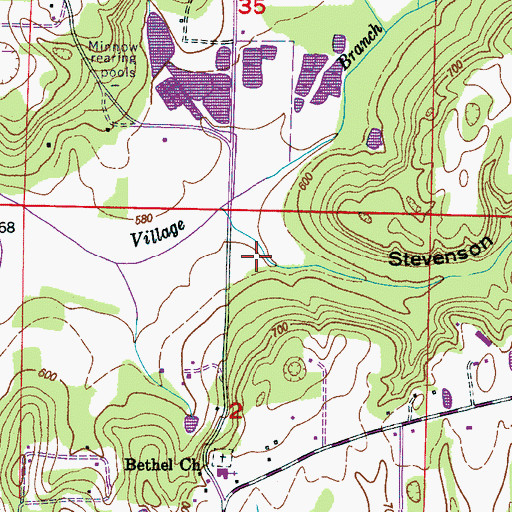 Topographic Map of Stevenson Hollow, AL