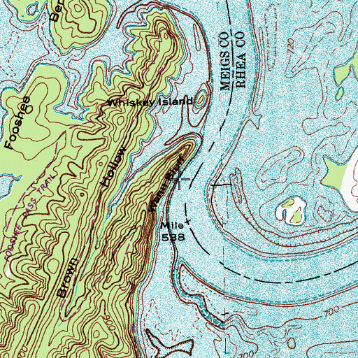 Topographic Map of Wann Bluff, TN