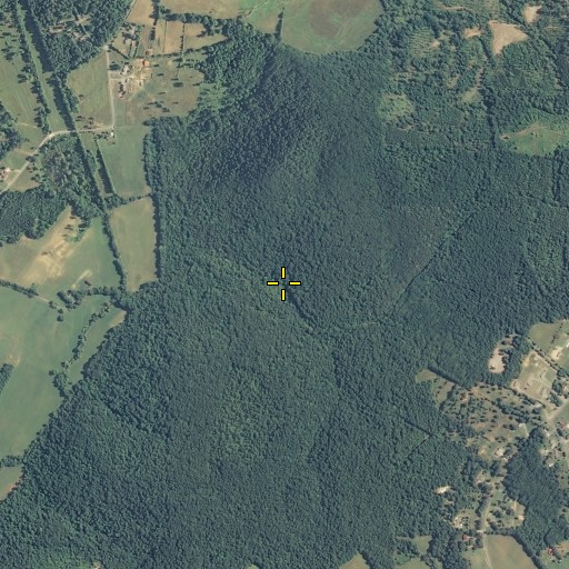 Aerial/Satellite Image of Ward Spring, TN