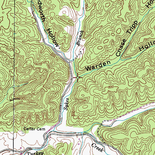 Topographic Map of Warden Hollow, TN