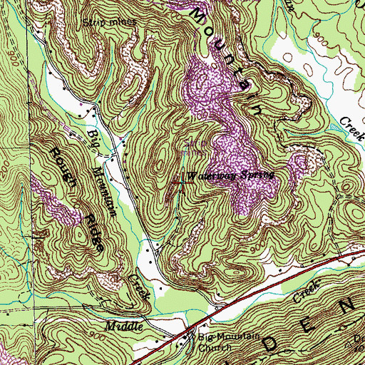 Topographic Map of Waterway Spring, TN