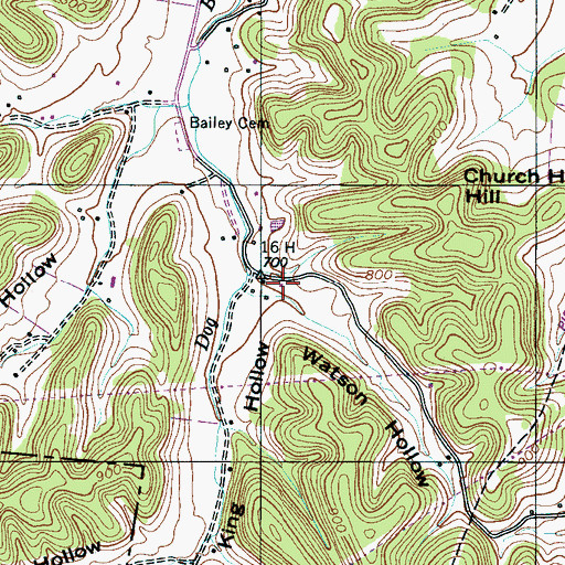 Topographic Map of Watson Hollow, TN