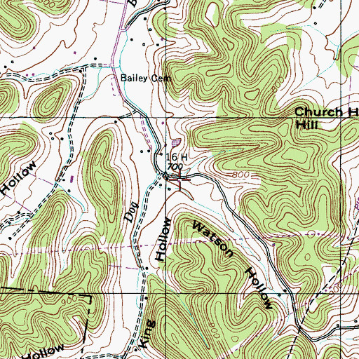 Topographic Map of Watson Hollow, TN