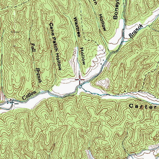 Topographic Map of Waxtree Hollow, TN