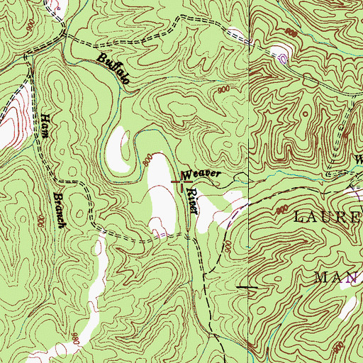 Topographic Map of Weaver Branch, TN