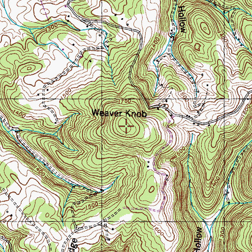 Topographic Map of Weaver Knob, TN