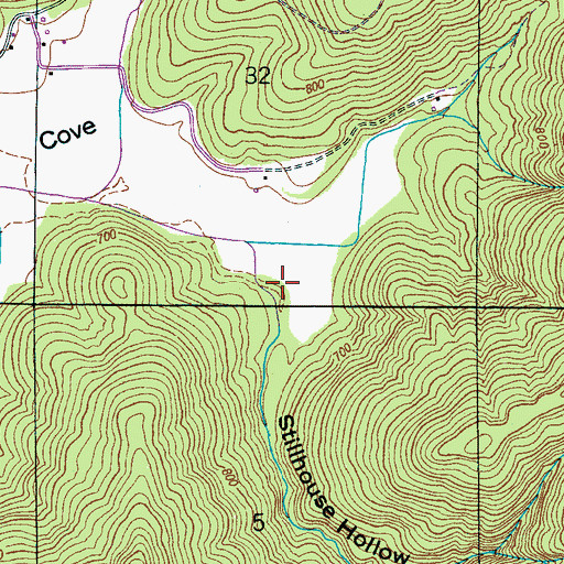 Topographic Map of Stillhouse Hollow, AL