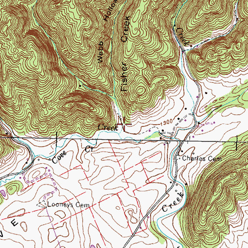 Topographic Map of Webb Hollow, TN