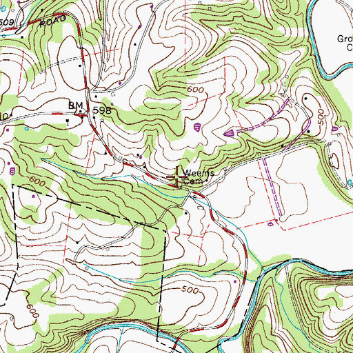 Topographic Map of Weems Cemetery, TN