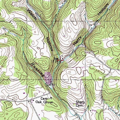 Topographic Map of Welch Hollow, TN